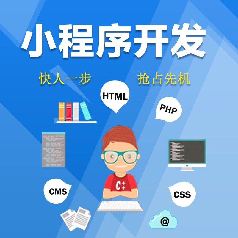 小程序开发：轻量化应用的创新浪潮